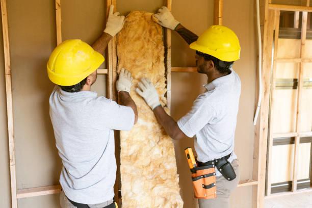 Best Spray Foam Insulation  in Heyworth, IL
