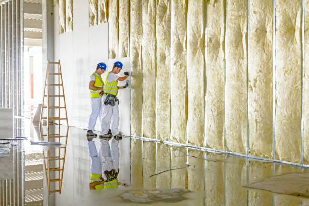 Insulation Inspection Services in Heyworth, IL